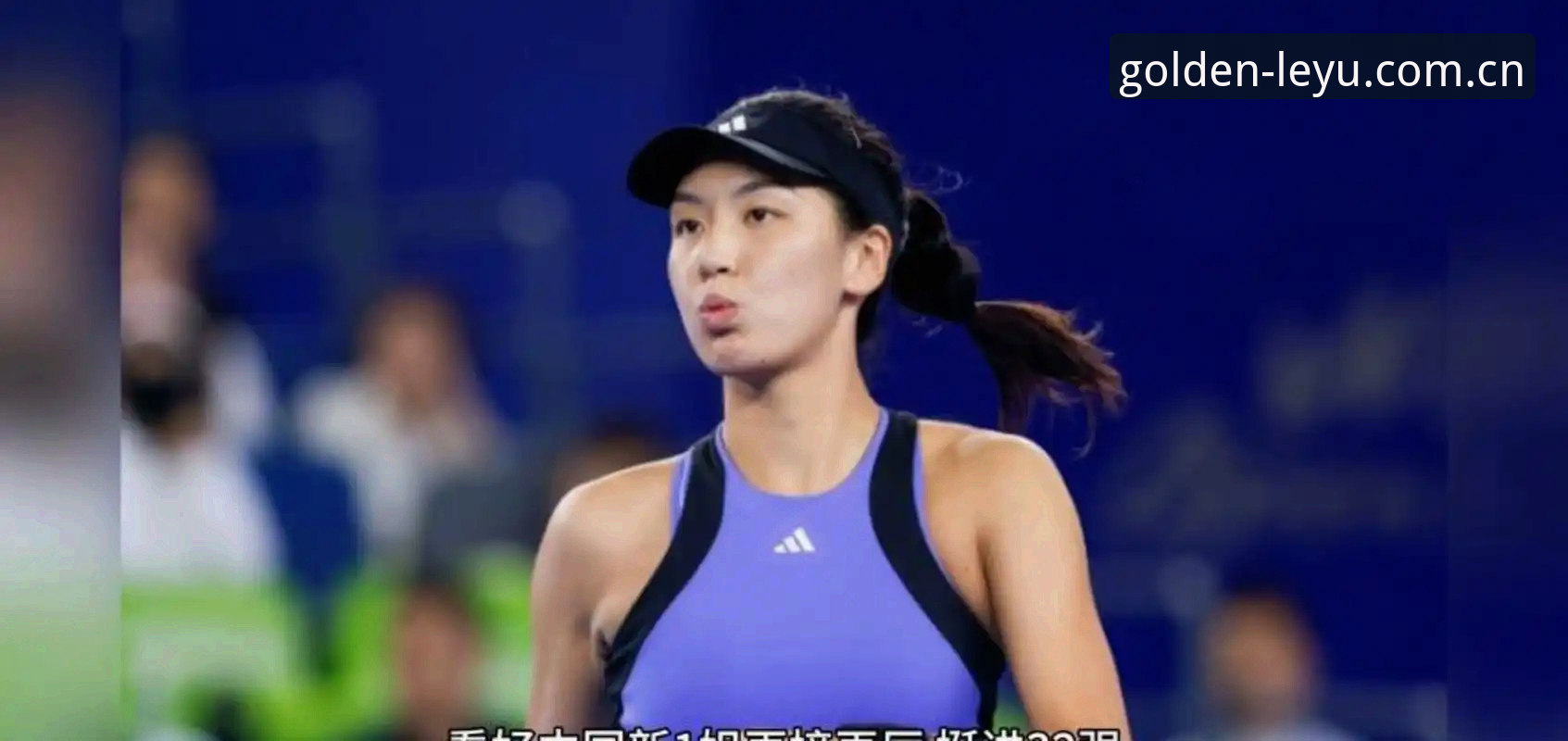法网女单抽签结果深度分析教程：郑钦文保分压力与王欣瑜种子优势全解读
